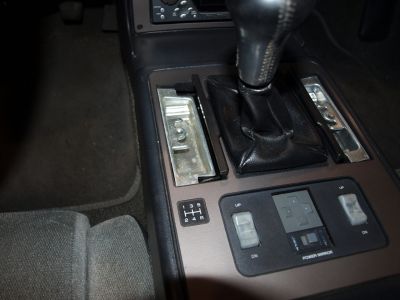 fiero_8196.JPG